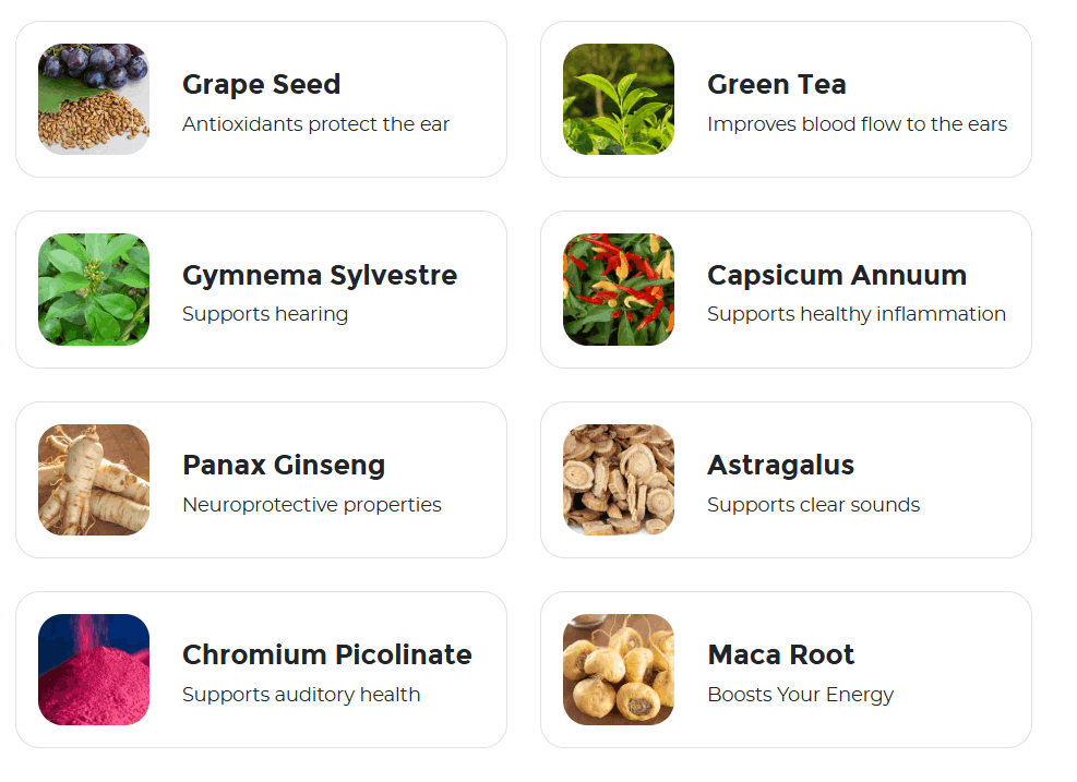 zencortex Ingredients